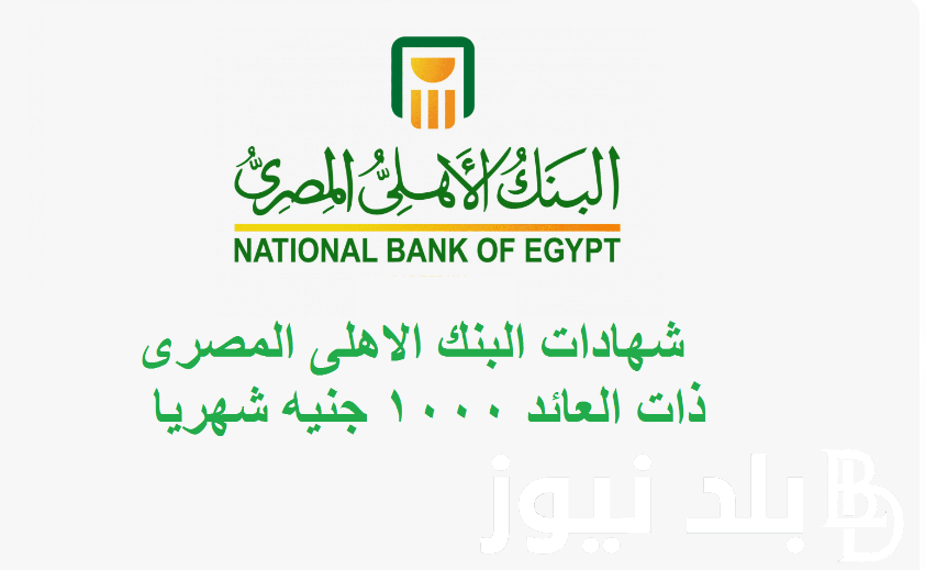 “استثمر فلوسك” أسعار فائدة شهادات البنك الأهلي اليوم لمدة سنة.. تعرف على افضل الشهادات الادخارية المتاحة 2024 بأعلى عائد سنوي