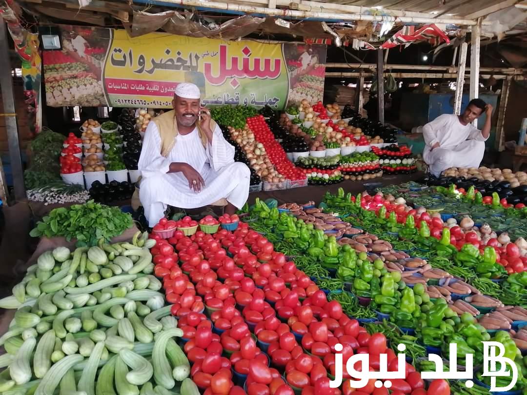 الباذنجان وصل لـ 4 ج .. سعر الخضار اليوم في مصر الخميس 22/8/2024