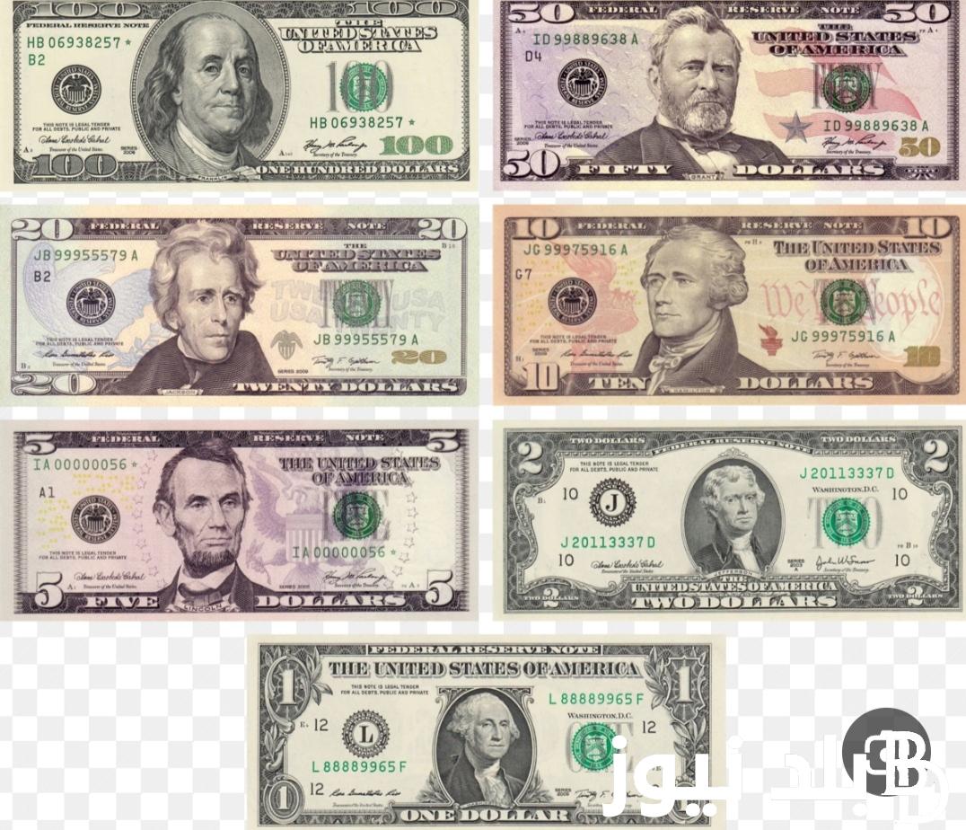 سعر الدولار اليوم مقابل الجنيه المصري السبت ٣١ اغسطس ٢٠٢٤ في البنوك المصرية والسوق السوداء