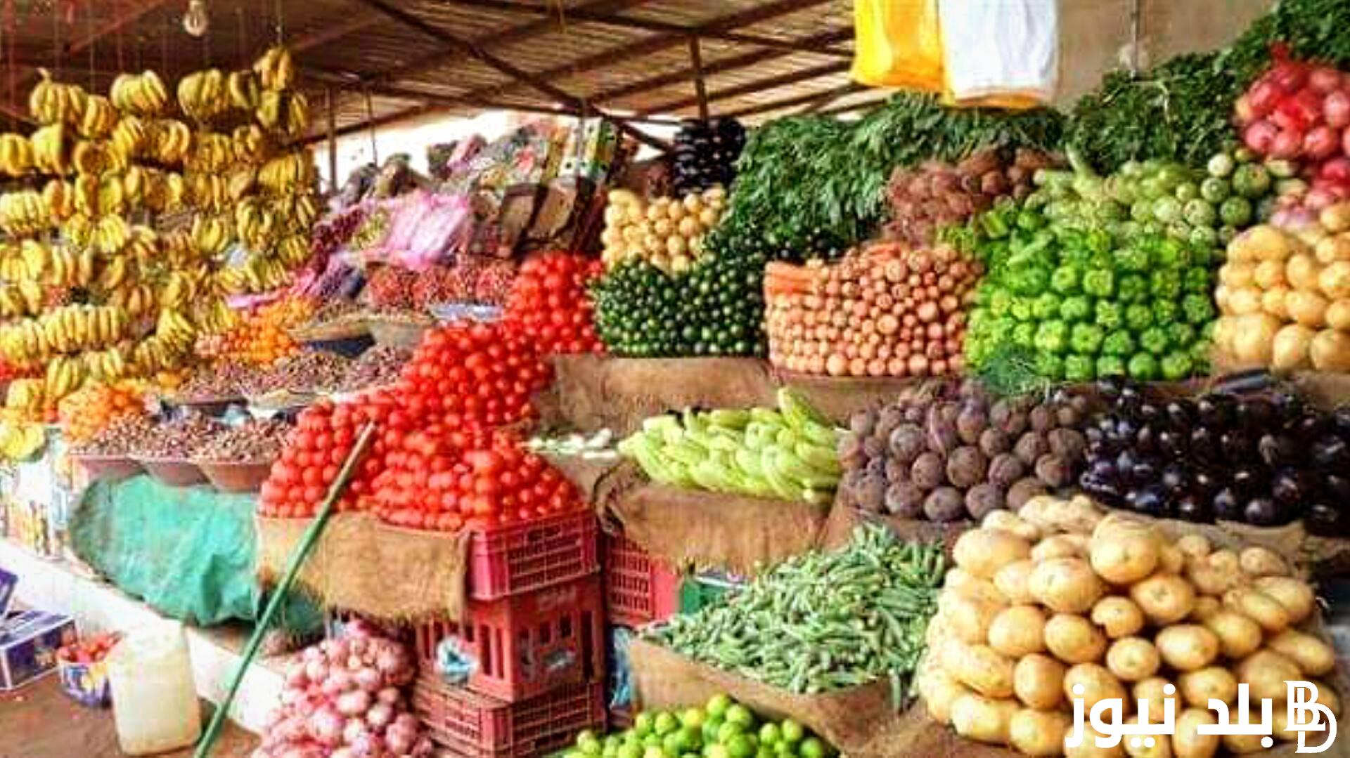 الثوم ب75.. أسعار الخضروات في سوق العبور اليوم السبت الموافق 24 أغسطس 2024 للمستهلك