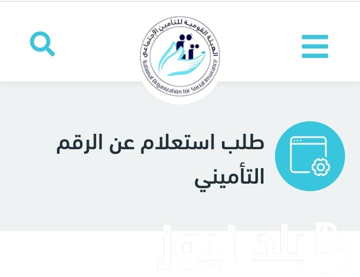 من هنا.. كيفية الاستعلام عن الرقم التأميني بالرقم القومى 2024 والمستندات المطلوبة لاستخراج برنت التامينات