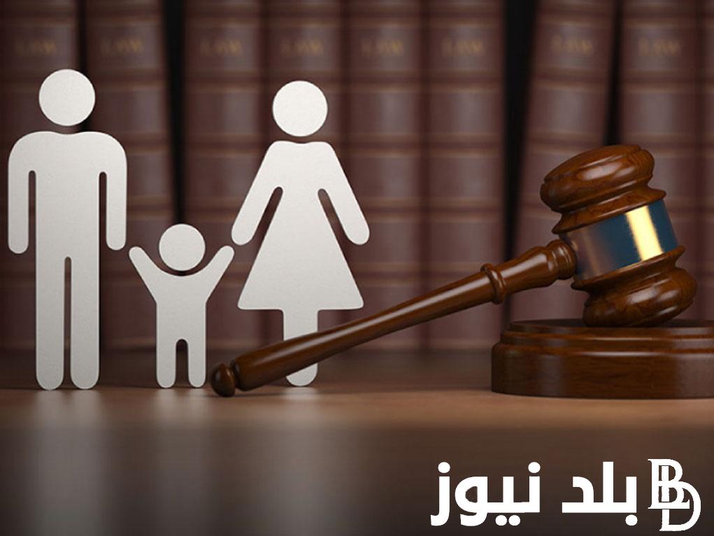 “إثارة جدل بعد التعديلات” قانون الأحوال الشخصية العراقي الجديد pdf 2024 بالتعديلات الجديدة.. وماهي القانون الجعفري