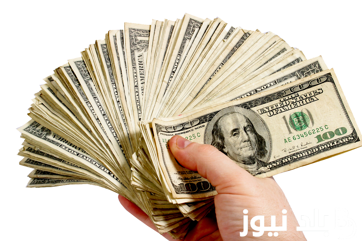 الأخضر على إيه في العراق؟ .. سعر 100 دولار في العراق اليوم الإربعاء الموافق 7 أغسطس 2024 في السوق الموازي