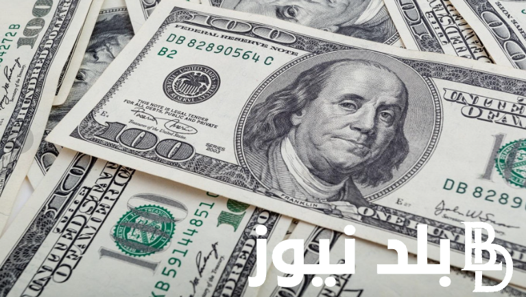 “لحظياً” سعر الدولار اليوم مقابل الجنيه المصري في السوق السوداء اليوم السبت الموافق 31 اغسطس 2024 وفي البنوك المصرية