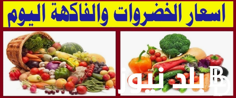 ننشر اسعار الفاكهة اليوم والخضروات السبت 24 أغسطس 2024 في مصر داخل الأسواق والمحلات التجارية