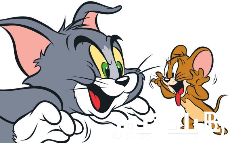” الفار VS القط”.. تردد قناة توم وجيري 2024 على النايل سات 24 ساعة TOM and JERRY بجودة عالية
