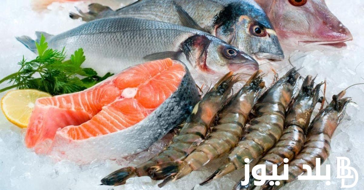 اسعار السمك اليوم السبت الموافق 3 أغسطس 2024 في الأسواق المصرية للمستهلك