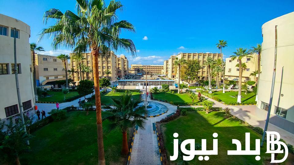 “فرصة السفر كبيرة” تنسيق كلية الزراعة 2024 والوظائف والأقسام الموجودة في الكلية اعرفها دلوقتي