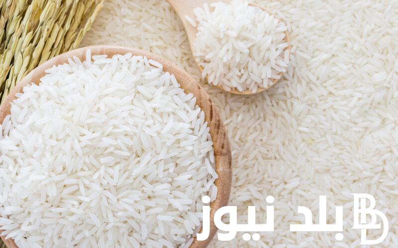 سعر طن الأرز الشعير اليوم السبت الموافق 17 أغسطس 2024 داخل الأسواق المصرية