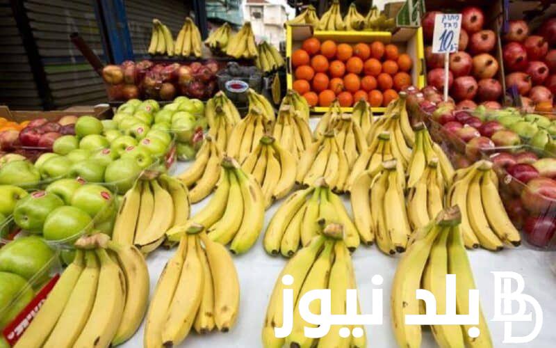 أسعار الفاكهة اليوم في مصر 2024 | أسعار الفاكهة في سوق العبور اليوم الجمعة 23-8-2024