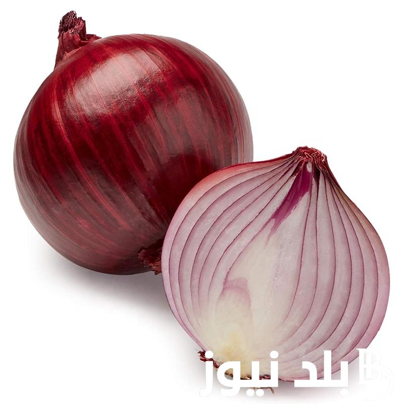 “بكام كيلو الطماطم والبصل؟” سعر البصل اليوم الجديد الخميس 22 أغسطس في سوق العبور والأسواق المحلية