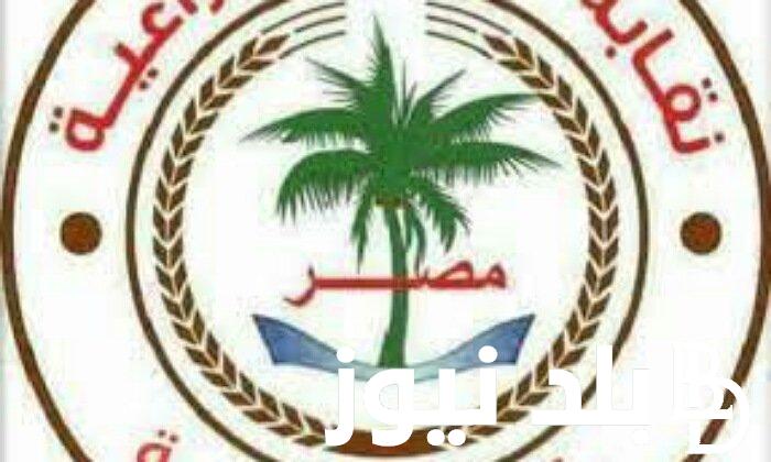 سحب لقب مهندس زراعي من خريجي كليات الزراعة وآداب قسم مساحة وكيفية الانضمام إلى نقابة الزراعين