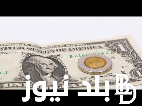 الاخضر بكام النهاردا ؟ سعر الدولار اليوم مقابل الجنيه المصري فى السوق السوداء والبنوك المختلفة ومكاتب الصرافة