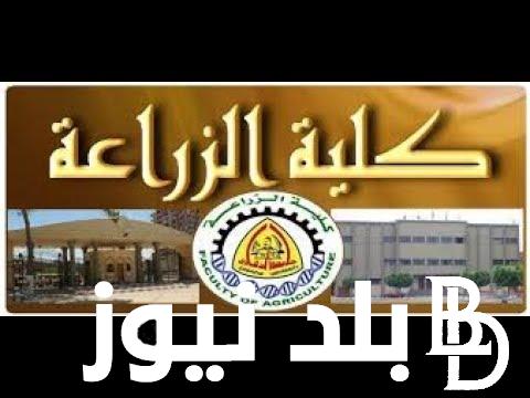 اعرف الان .. تنسيق كليه زراعة 2024 لطلاب الشعبة العلمية وموعد عودة الدراسة بالجامعات وفقا لوزارة التعليم العالي