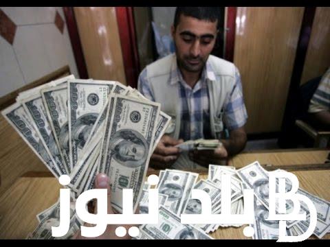 “الاخضر النهاردة” سعر الدولار مقابل الجنيه المصري فى السوق السوداء وسعر الدولار مقابل الجنية المصرى فى مختلف البنوك