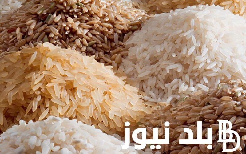 اسعار الارز الشعير اليوم الاثنين 19 اغسطس 2024 للمستهلك في الاسواق المحلية