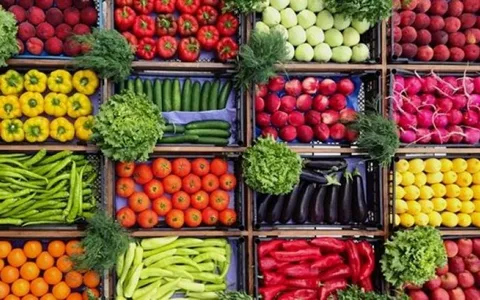 جدول اسعار الخضار اليوم الاحد الموافق 4-8-2024 واسعار الفاكهة في سوق العبور