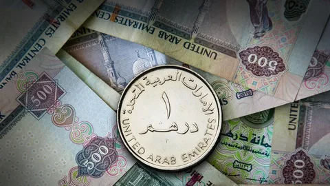 الدرهم الاماراتي عامل كم مصري؟.. سعر الدرهم الإماراتي في السوق السوداء و البنوك مقابل الجنية المصري اليوم السبت 17 اغسطس 2024