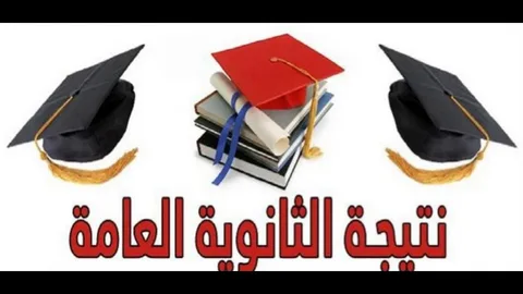 الآن نتيجة الثانوية العامة بالاسم وبرقم الجلوس 2024 ورابط الاستعلام عن جميع النتائج من خلال moe.gov.eg