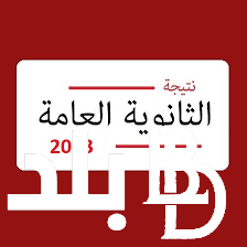 ارقص يا عم صابر” نتيجة الثانوية العامة بالاسم فقط 2024 بعد إعلانها من موقع وزارة التربية والتعليم والتعليم الفني moe.gov.eg