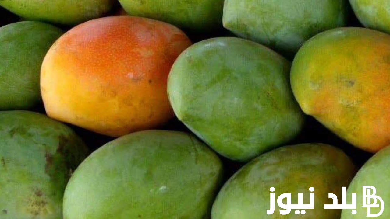 اسعار المانجو العويس اليوم الخميس الموافق 15 أغسطس 2024 للمستهلك في سوق العبور