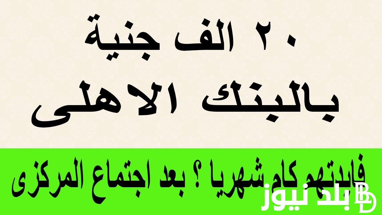 “فلوس زي الرز” فوائد 20,000 جنيه في البنك في الشهر وأهم الشهادات المُفعلة من البنك الاهلي المصري بعائد يصل لـ 30% لمدة 3 سنوات