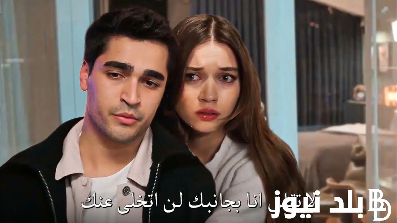 موعد عرض مسلسل طائر الرفراف الموسم الجديد ( الموسم الثالث) والقنوات الناقلة له وترددها