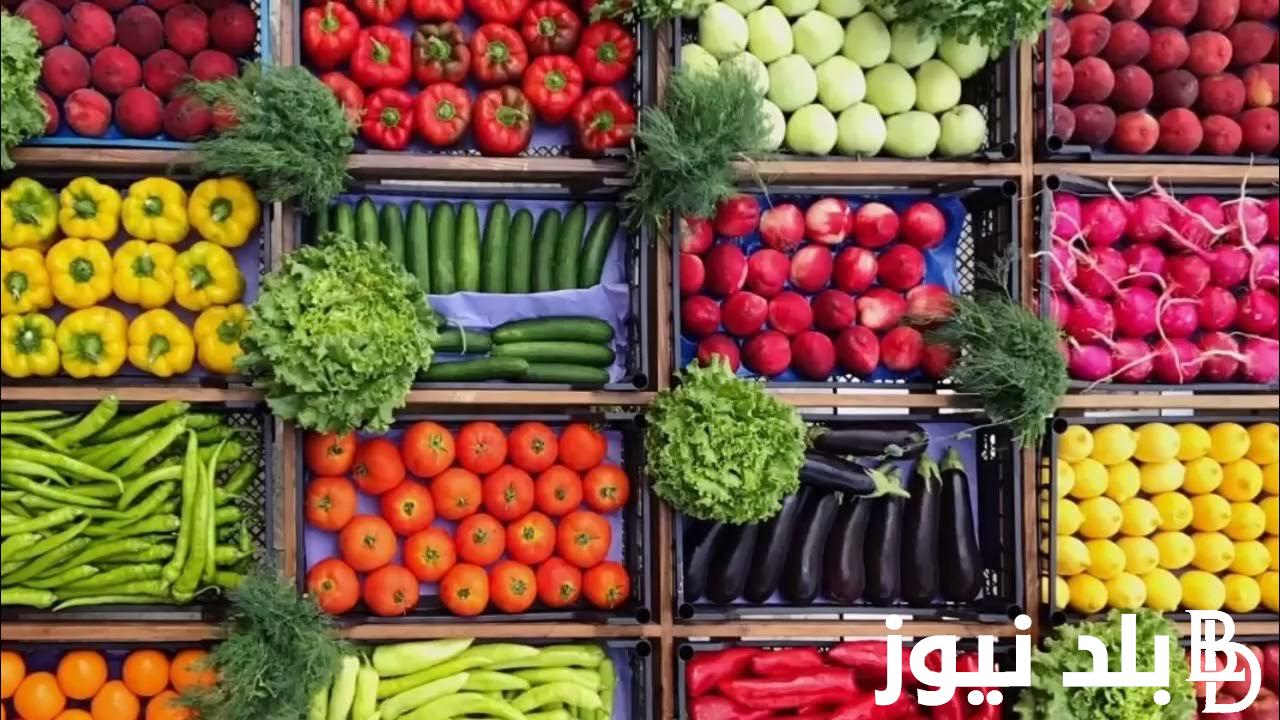 اسعار الخضار في سوق العبور اليوم الخميس الموافق 15/8/2024 للمستهلك في مصر