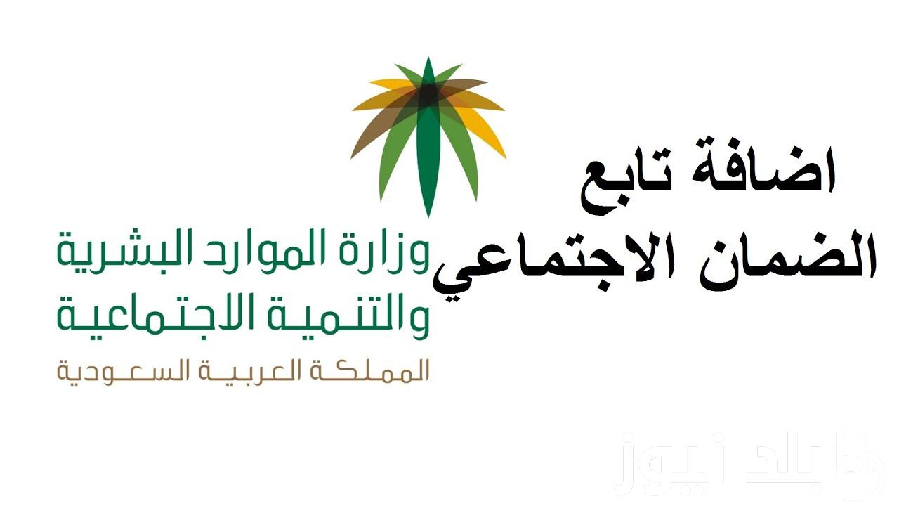 وزارة الموارد البشرية توضح: متى ينزل الضمان الاجتماعي اليوم؟ وطريقة الاستعلام عن أهلية الدفعة 32
