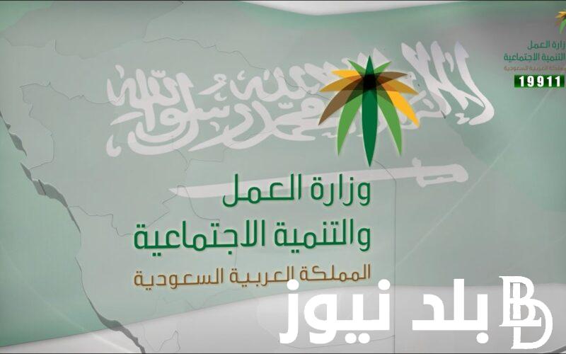 موعد نزول الضمان الاجتماعي لهذا الشهر 2024 وخطوات الاستعلام عن الضمان الاجتماعي المطور الخاص بشهر أغسطس