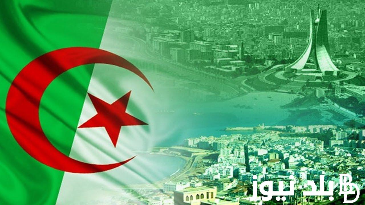 “الحق سجل” موعد صرف منحة الطفل في الجزائر 2024 وشروط التسجيل في منحة الطفل