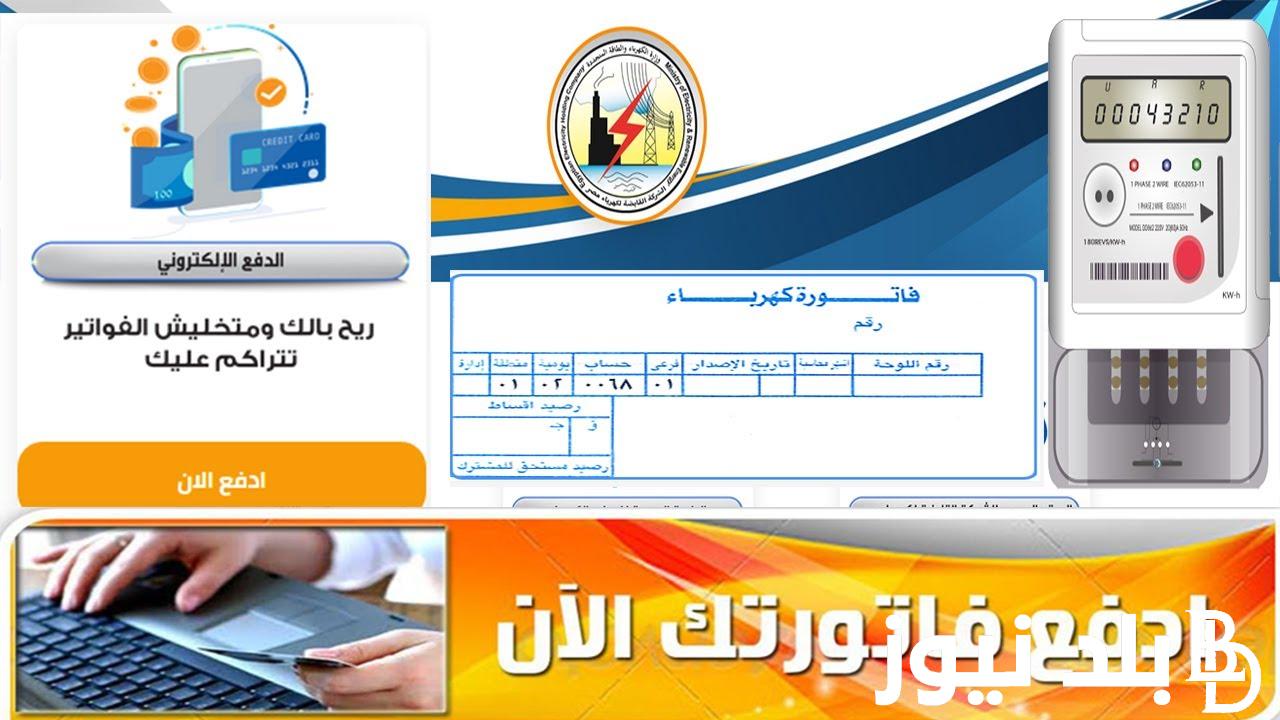 طريقة الاستعلام عن فاتورة الكهرباء برقم العداد2024 لشهر اغسطس عبر موقع الشركة القابضة لكهرباء مصر