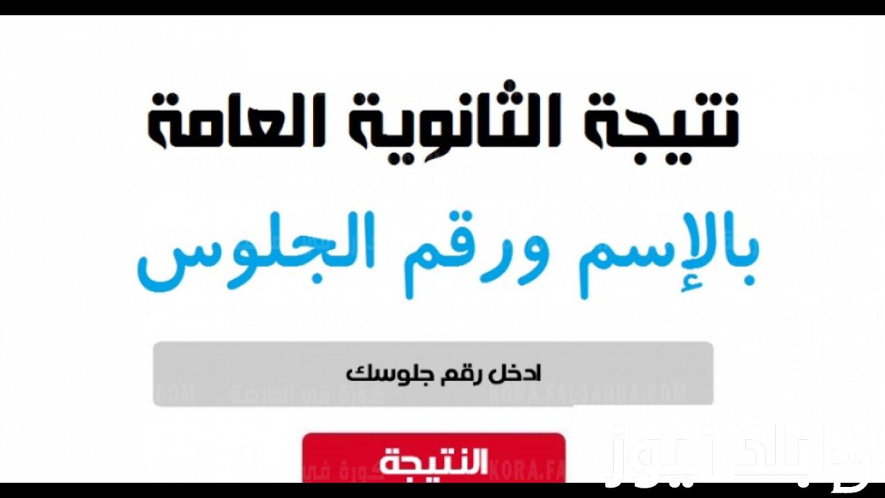 رابط نتيجة الثانوية العامة 2024 بالدرجات ونسب النجاح المعنلة من قبل وزارة التربية والتعليم