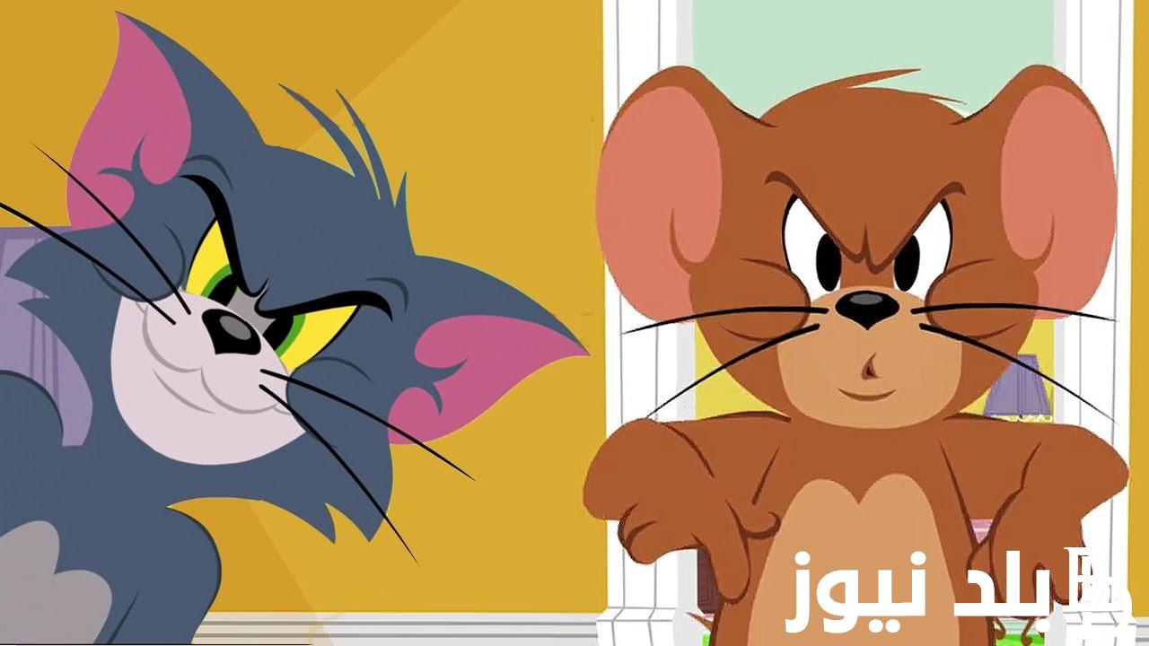 “TOM and JERRY”.. تردد قناة توم وجيري 2024 على النايل سات وعرب سات بجودة hd لمشاهدة اجمل أفلام الكرتون