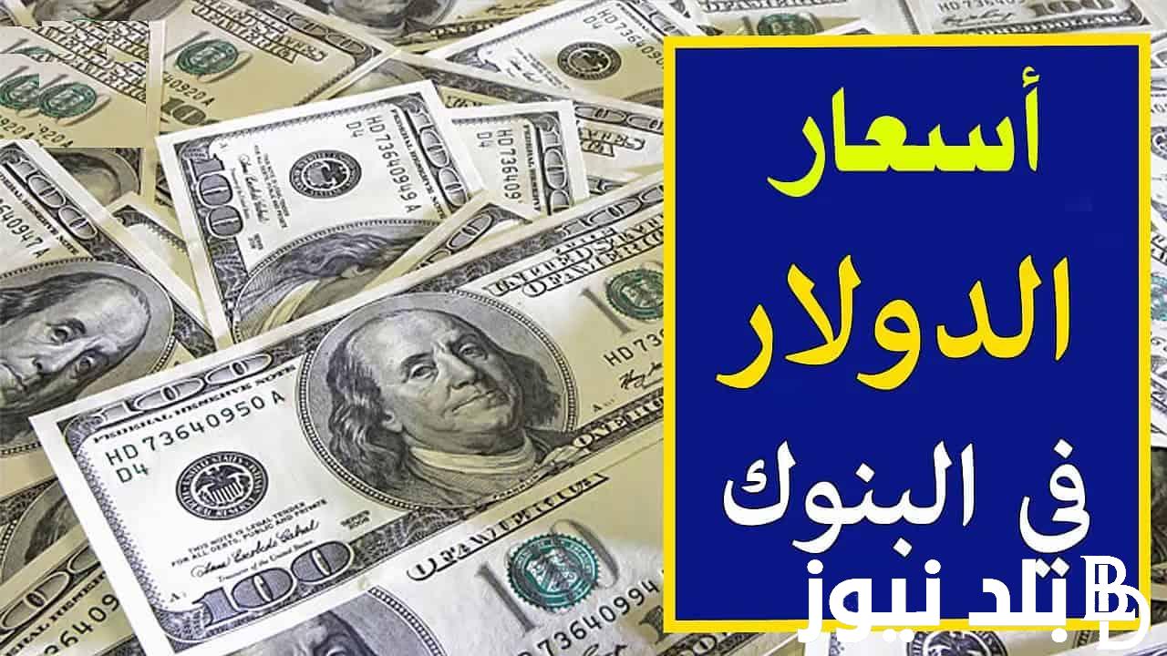 تعرف علي كم سعر الدولار في مصر الآن| سعر الدولار مقابل الجنيه المصري اليوم الخميس 22/8/2024 في البنوك والسوق السوداء