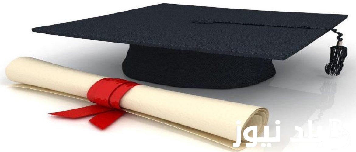 سجل رغباتك في المرحلة الأولى.. نتيجة نت نتيجة الثانوية العامة 2024 للإستعلام عن النتيجة عبر natega4dk.net