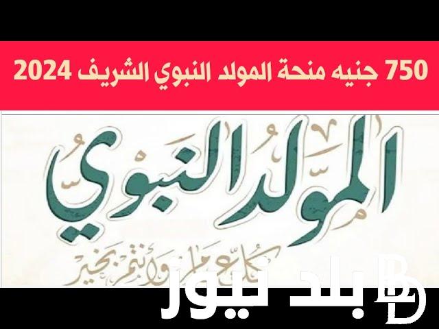 منحه المولد النبوي الشريف 2024 لـ4 فئات بقيمة 750 جنيه و للعمالة الغير منتظمة بقيمة 500 جنيه