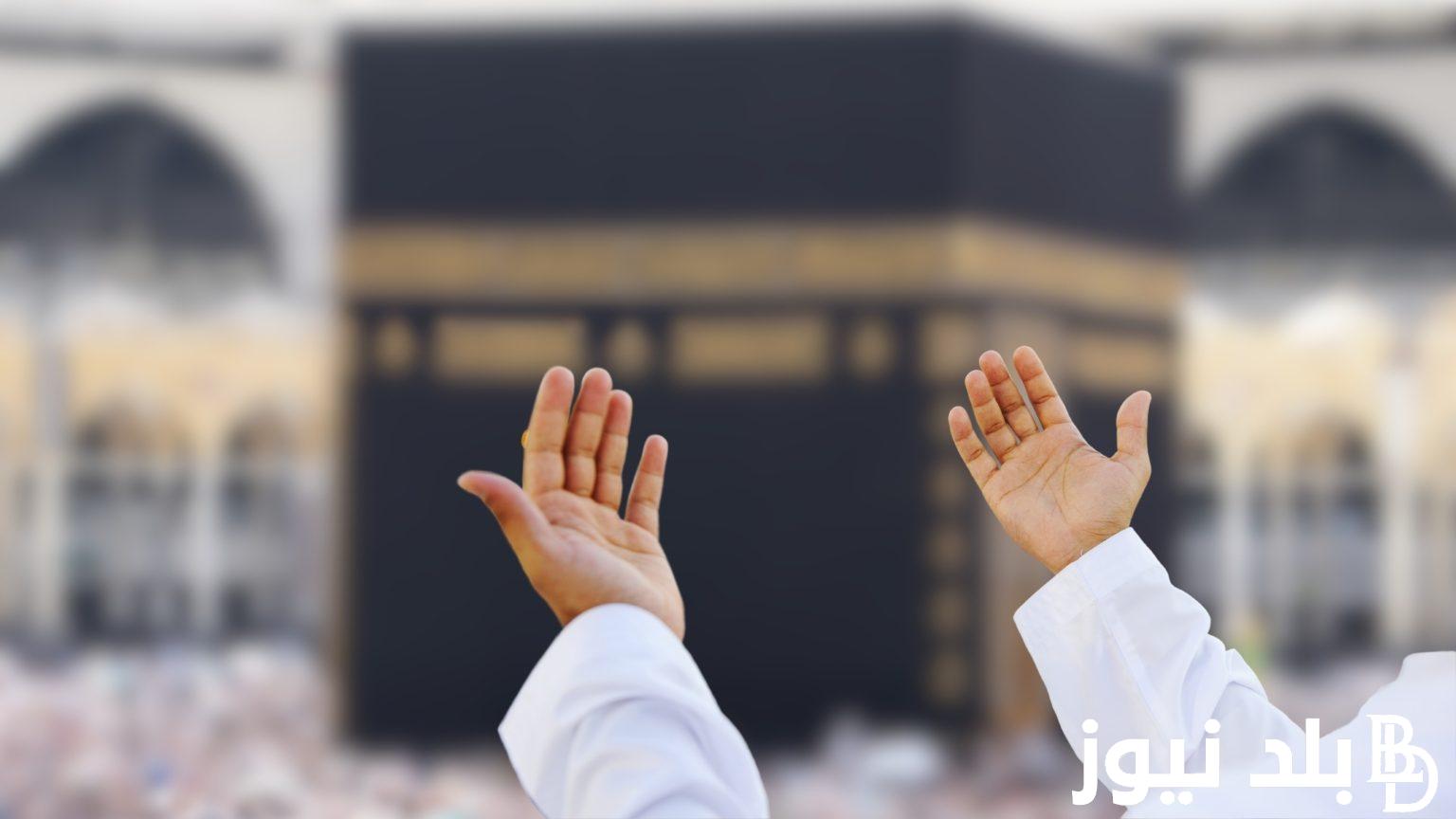 “هتتناقش بكرة” الضوابط المنظمة لموسم العمرة وخدمات برامج العمرة فى الموسم الجديد