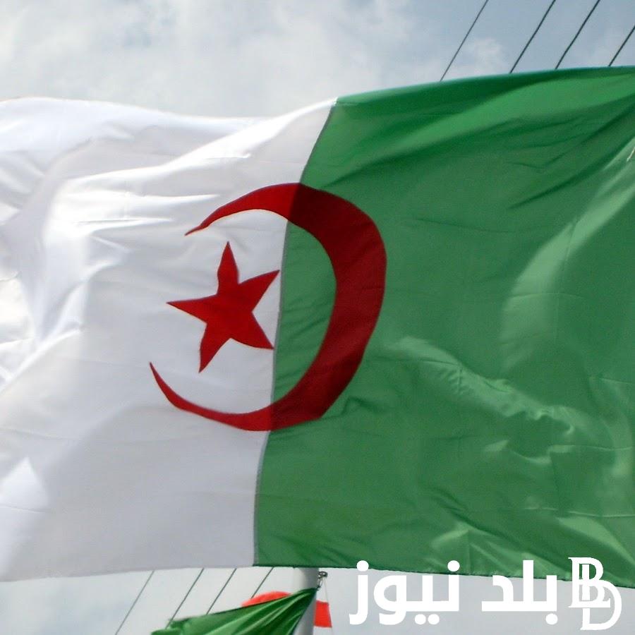 “سجل وخد وحدتك” استمارة التسجيل في سكنات عدل 3 الجزائر 2024 وخطوات التقديم في سكنات عدل 3 عبر الهاتف