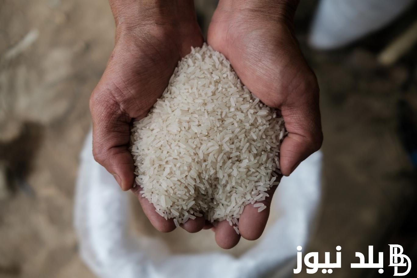 الارز بقي بكام؟.. سعر طن الأرز الشعير اليوم الخميس 8-8-2024 للمستهلك في مصر واسعار السلع الغذائية