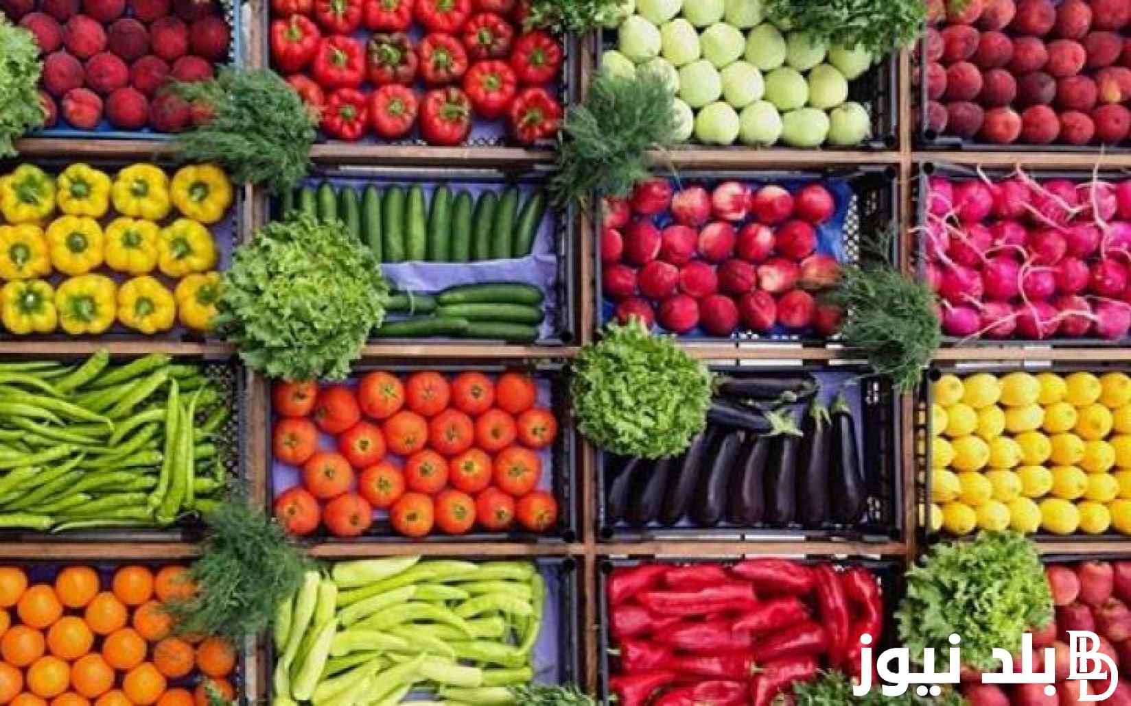 البطاطس بـكام .. اسعار الخضار اليوم الاربعاء 14 أغسطس 2024 في سوق العبور