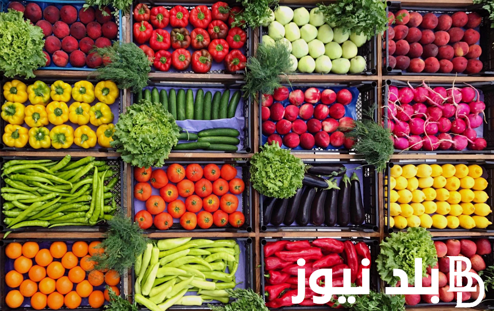 خيار وبطاطس بكام النهاردة .. اسعار الخضار والفاكهة اليوم الجمعه 23/8/2024 في السوق المصري وللمستهلك