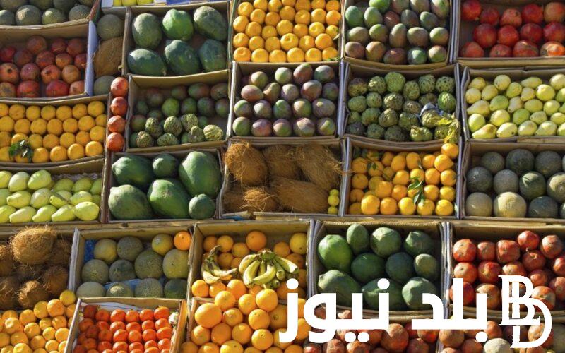 “المانجا بـ 12 جنيه” أسعار الفاكهة اليوم الثلاثاء 20 أغسطس 2024 واسعار الخضروات للمستهلكين