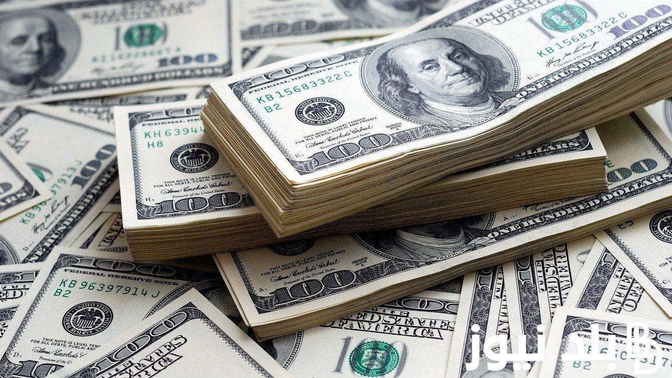 100 دولار إمريكي كم جنيه مصري؟ تعرف علي سعر الدولار مقابل الجنيه المصري اليوم الخميس 15 اغسطس 2024