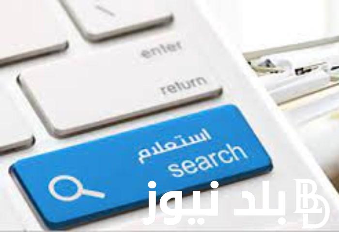 “برء ذمتك وادفع مخالفتك” استعلام عن مخالفات المرور برقم السيارة عبر ppo.gov.eg وكيفية دفع المخالفات