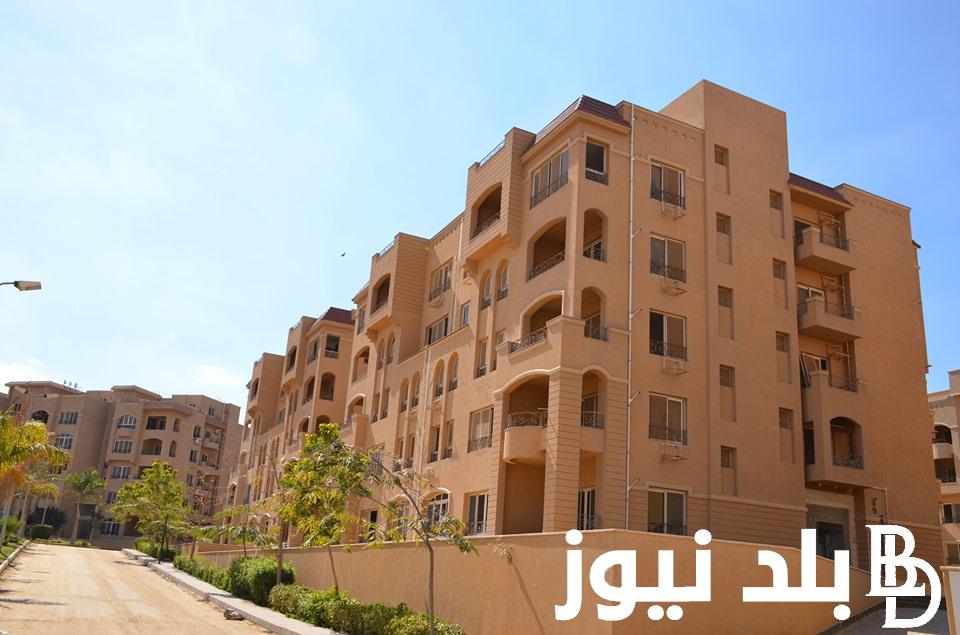 “فرصة العمر”.. شقق استلام فوري بنك الإسكان والتعمير والاستعلام عنها عبر cservices.shmff.gov.eg