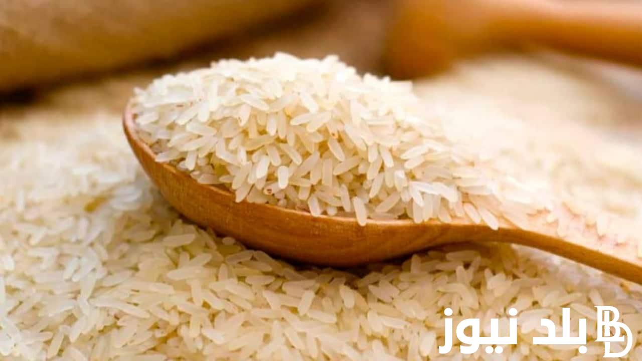 بكـم كيلو الارز؟.. سعر طن الأرز الشعير اليوم الجمعة 23-8-2024 للمستهلك في الاسواق المحلية