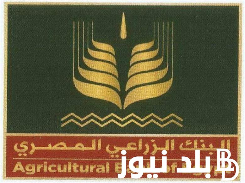 قدم الان .. وظائف البنك الزراعي المصري 2024 والتدريب الخاص بالبنك والمستندات المطلوبة للتقديم