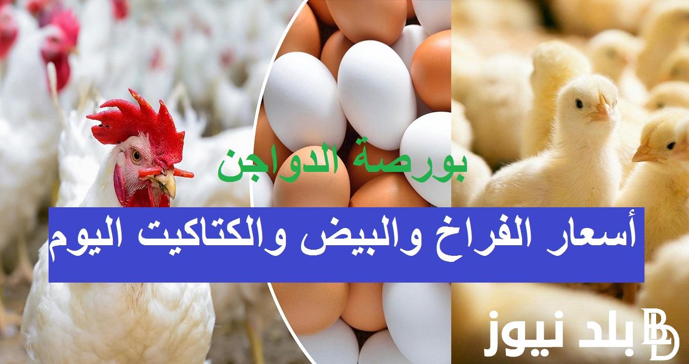 بورصة الدواجن اليوم الفراخ البيضاء الاتنين 5 اغسطس 2024 في الاسواق والمحلات التجارية