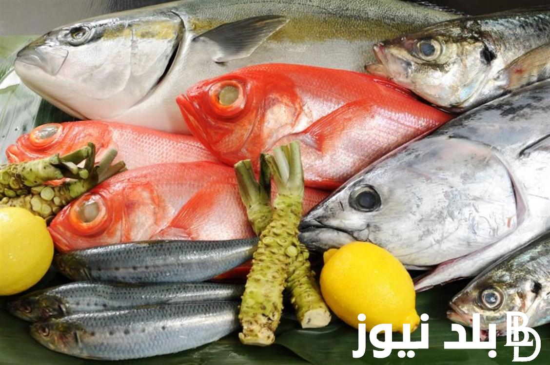 قائمة اسعار السمك اليوم والسمك المجمد الأثنين 12 أغسطس 2024 في سوق العبور
